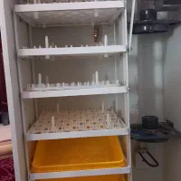 دستگاه جوجه کشی سیمرغ طلایی