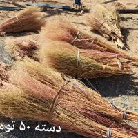 جارو باغی دستی|لوازم نظافت|لردگان, |دیوار