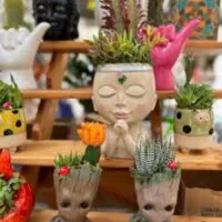 کاکتوس و مجسمه فانتزی برای شرکت ها اداره ها.منازل|گل و گیاه طبیعی|تهران, بازار|دیوار