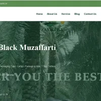 طراحی سایت رایگان بانمونه کار قوی+افزایش نمونه کار
