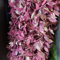 پخش فنس چمنی و فنس برگی سبز و رنگی|مصالح و تجهیزات ساختمان|کرج, دهقان ویلا|دیوار