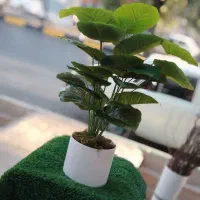 درختچه های مصنوعی‌.گیرین وال .چمن مصنوعی|گل مصنوعی|اصفهان, شهرستان|دیوار