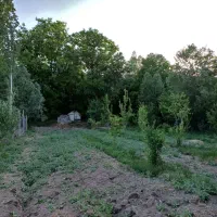 باغ فیروزکوه روستای شهراباد