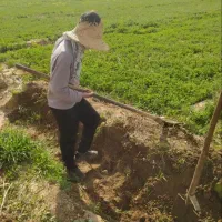 یک فروند کارگر حرفه ای و مجرب