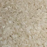 برنج کامفیروزی به شرط خرید کشاورز