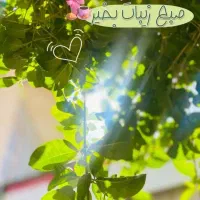 ۲۰قصب زمین درنگار