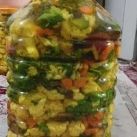 ترشی درجه ۱ خانگی|خوردنی و آشامیدنی|اصفهان, فجر|دیوار