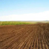 دوهکتار-زمین-ابی-اجاره-داده-میشود