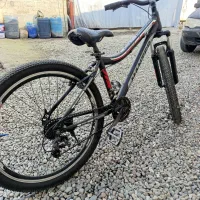 دوچرخه|دوچرخه، اسکیت، اسکوتر|تولم شهر, |دیوار