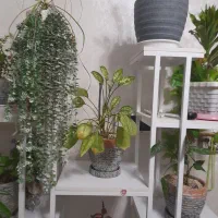 استند فلزی گلدان|کتابخانه، شلف، قفسه‌های دیواری|گرمدره, |دیوار