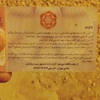 گم شدن مدارک شناسایی