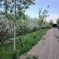 اجاره روزانه بوم گردی|اجارهٔ کوتاه‌مدت آپارتمان و سوئیت|مشهد, عبادی|دیوار