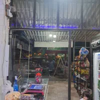 مغازه اجاره ای|اجارهٔ مغازه و غرفه|مینودشت, |دیوار