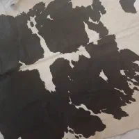 پوست طبیعی بزرگ وکوچک