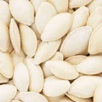 تخمه کدو درجه یک تازه