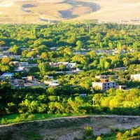زمین-باغشهری-گویم-زیتون-بعد-رودخانه-سرمایه-گذاری
