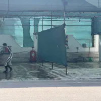 استخدام نیروی آقا برای کارواش