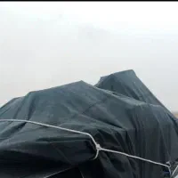 وانت کفی دار ارزان|خدمات حمل و نقل|تهران, بریانک|دیوار