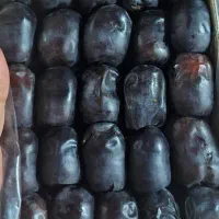 فروش خرمای درجه یک و ناب بلوچستان|خوردنی و آشامیدنی|سراوان, |دیوار