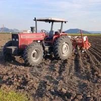 کشت نخود پاییزه