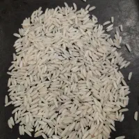 برنج هاشمی درجه ۱|عمده‌فروشی|آستانه اشرفیه, |دیوار