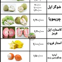 نهال پشن فروت و گواوا و انبه و موز و انواع استوایی|گل و گیاه طبیعی|ساری, |دیوار