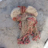 وسایل بچه ساعت کمد وتوره ماهی|اسباب و اثاث بچه|بیجار, |دیوار