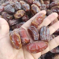 خرما کبکاب درجه ۱|خوردنی و آشامیدنی|برازجان, |دیوار