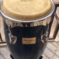 کونگا تایلندی تایکون