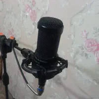 میکروفون حرفه ای At2050