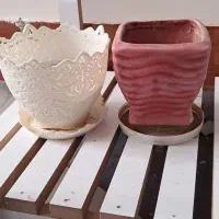 گلدان سرامیکی|گل و گیاه طبیعی|بیرجند, |دیوار