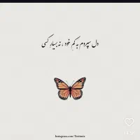 راهنمایی میخاستم