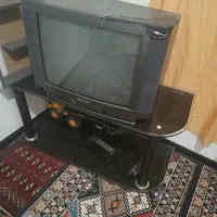 تلویزیون