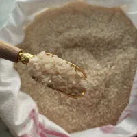 برنج و برنج نیم دانه اصل کامفیروزی|خوردنی و آشامیدنی|کر, |دیوار