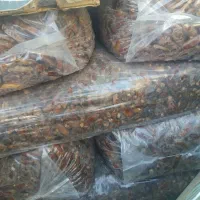 خرید فروش خرما|خوردنی و آشامیدنی|داراب, |دیوار