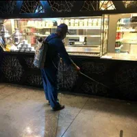 سمپاشی موریانه زدایی ساس سوسک موش ۱۰سال ضمانت