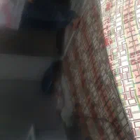 ال ای دی  ۶۵اینچ سامسونگ منحنی