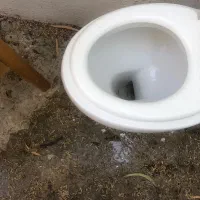 توالت فرنگی|لوازم سرویس بهداشتی|کیش, |دیوار