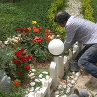 خدمات تخصصی باغبانی و فضای سبز