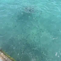 سفر جزیره کیش