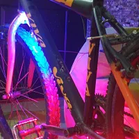 دوچرخه ۲۴ ویوا|دوچرخه، اسکیت، اسکوتر|رشت, رودبارتان|دیوار