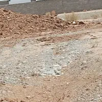 گود درجه یک