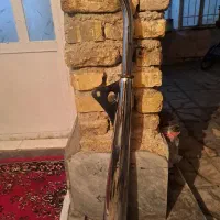 وسایل موتور|قطعات یدکی و لوازم جانبی|شیراز, طلاب|دیوار