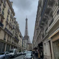 زبان‌فرانسوی