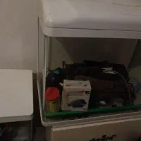 دو عدد آکواریوم.شرکتی.۶۰در ۶۰..و اون یکی ۶۰در ۵۰|ماهی|گلپایگان, |دیوار