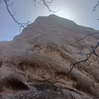 همسفر