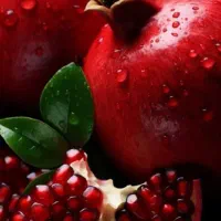 انار عمده بر روی درخت