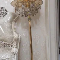 کنارسالنی