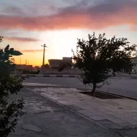 سرویس مدرسه شرکت باشگاه و...