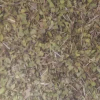 اویشن کوهی